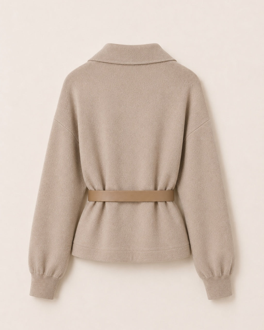 Ensemble CAMERON
