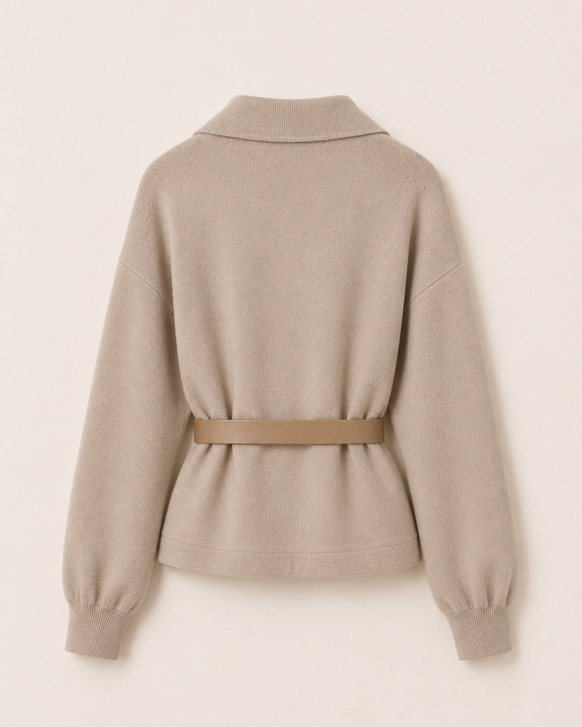 Ensemble CAMERON