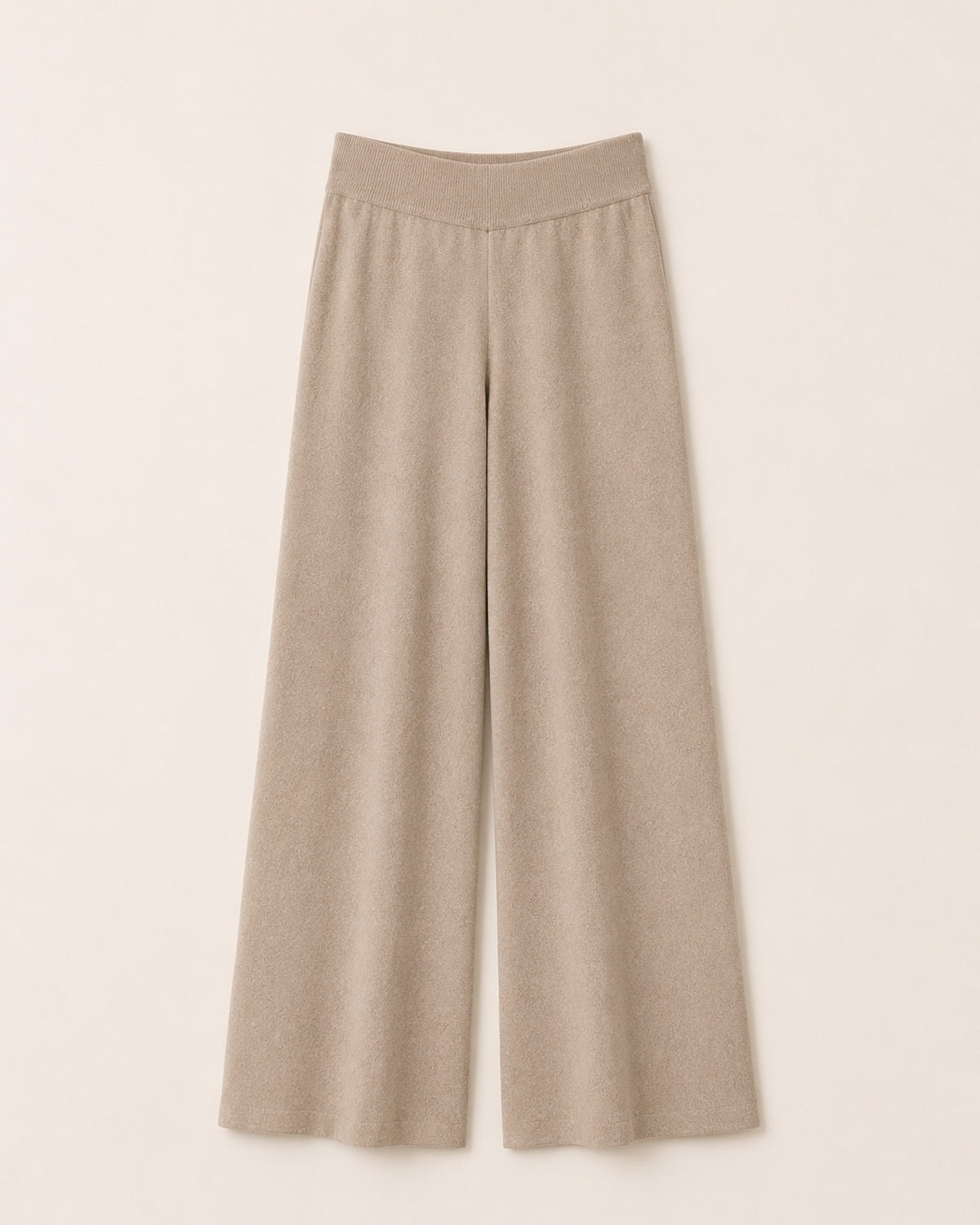 Ensemble CAMERON